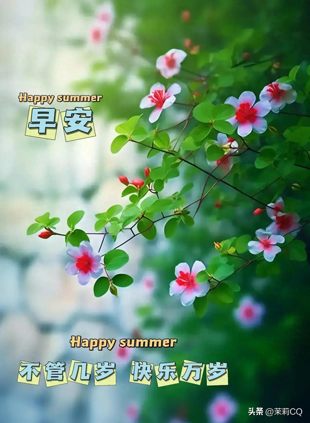 2024年天天彩资料免费大全,无线视频监控_商务版95.159