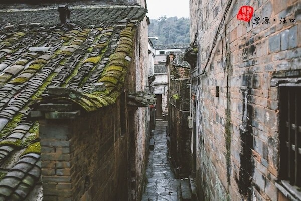小巷深处的独特蜡艺之旅,探寻最新蜡艺魅力