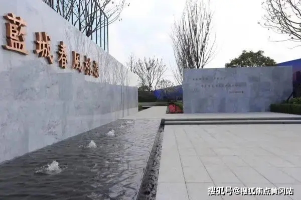 最新步兵发展趋势及其影响力,一种观点的深度解析