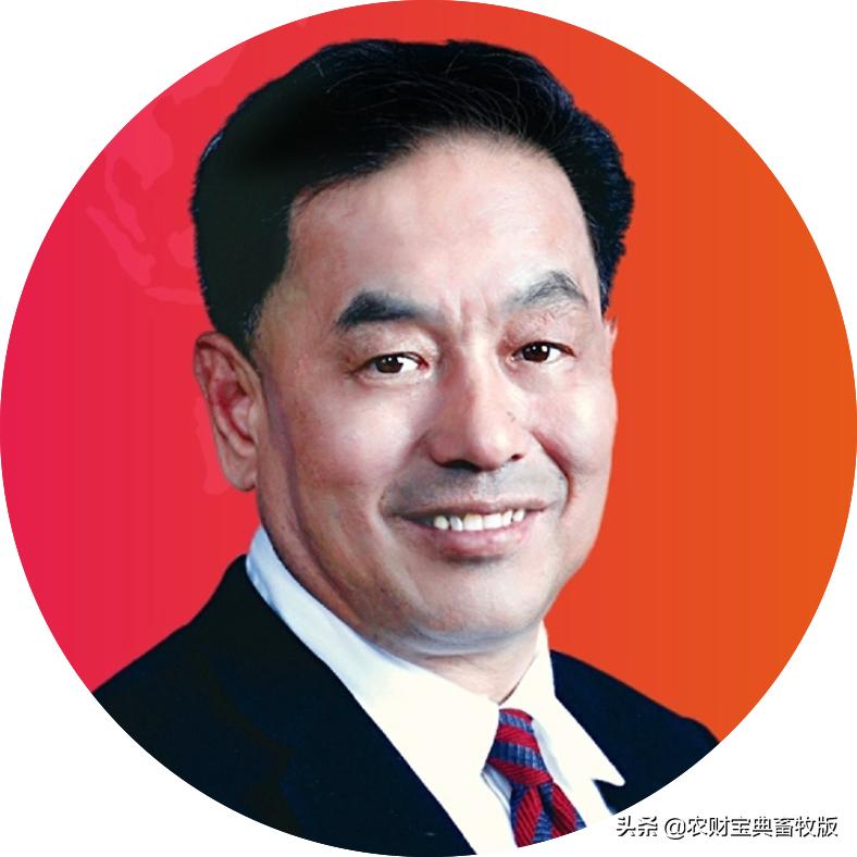 最新养猪行业概览，背景、重大事件与时代地位影响