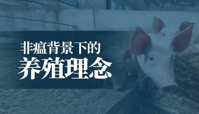 最新养猪行业概览,背景、重大事件与时代地位影响