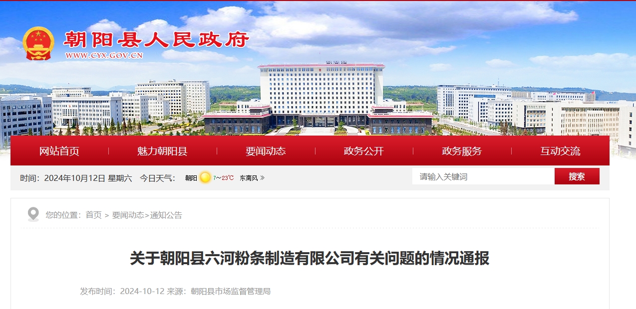 2024澳门正版雷锋网站,数据分析计划_外观版95.671