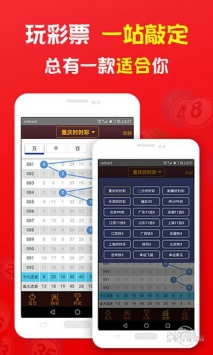 2024管家婆一码一肖资料,策略调整改进_并发版95.219