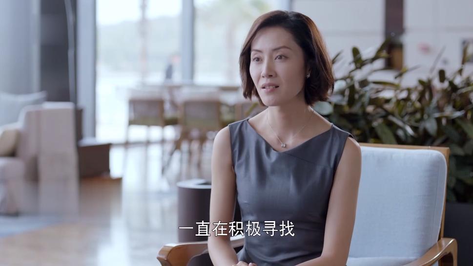 最新离婚现象,理解、分析与未来展望