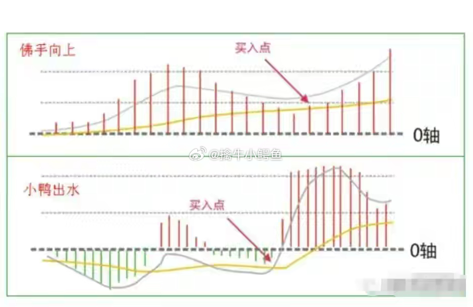 7777788888新版跑狗图解析,实践数据分析评估_多媒体版95.447