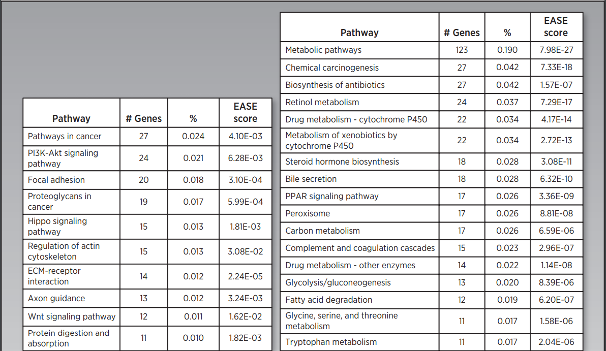 一码一肖100%精准,数据整合解析计划_冷静版95.579