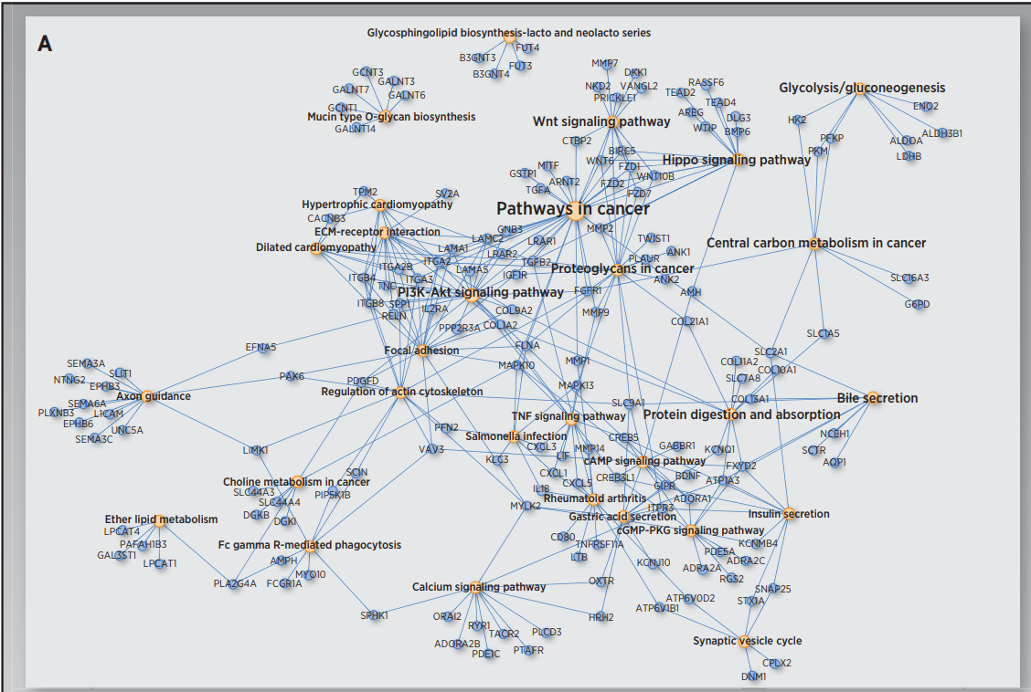 一码一肖100%精准,数据整合解析计划_冷静版95.579