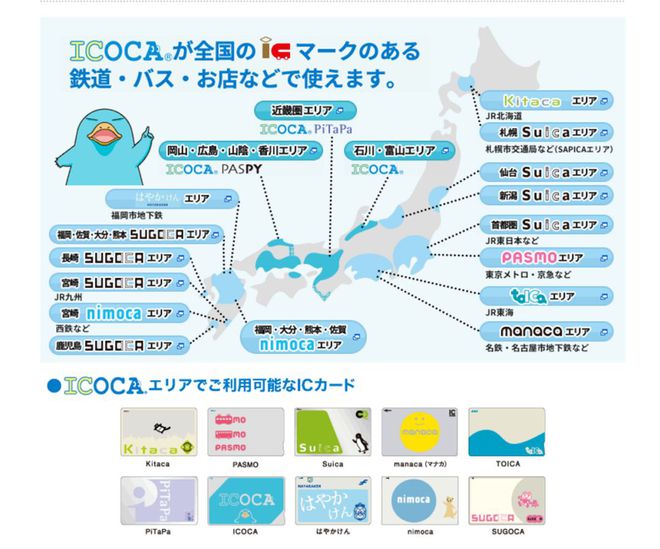 Pacopacomama最新指南,从初学者到进阶用户的步骤攻略