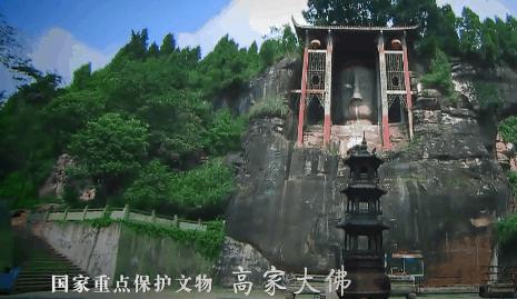 四川仁寿最新动态及观点论述概览