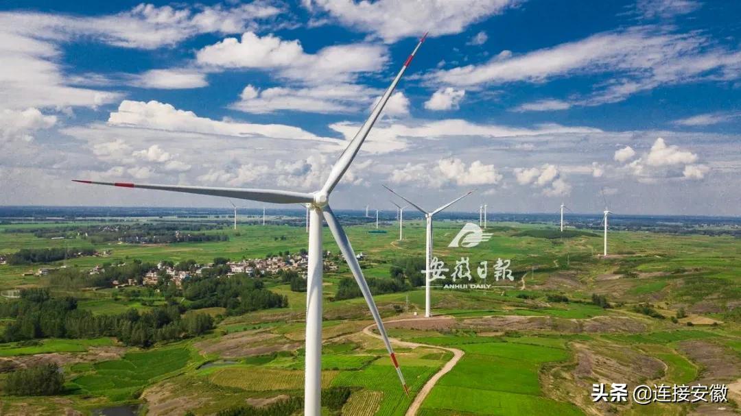 绿色变革,环保新闻最新消息与共同的力量与成就