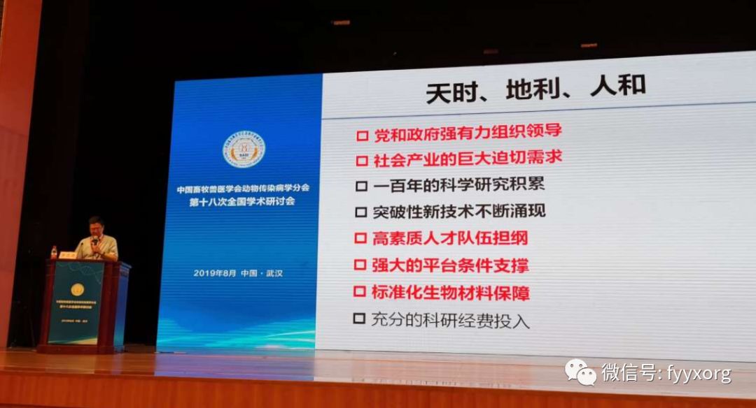 最新疱疹治疗详解,从初学者到进阶用户的全方位指南