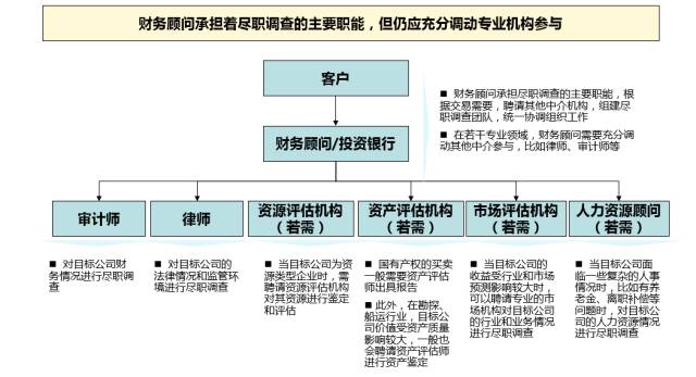 最新财务案例深度剖析,某公司资本结构优化的探索