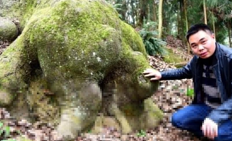 最新接发技术,从头开始,解锁无限可能的力量