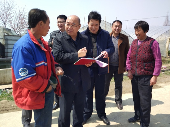 全椒最新动态,观点阐述与综合分析报告