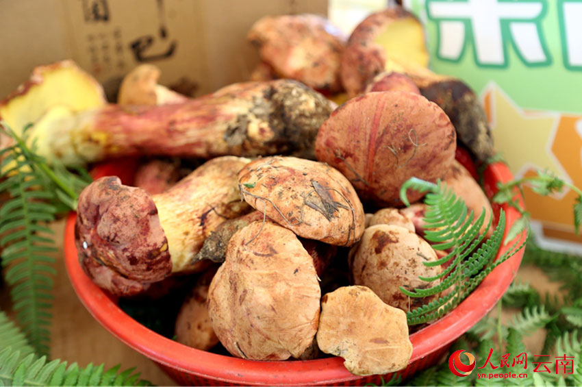 最新豆制品,味蕾上的友情之旅探索