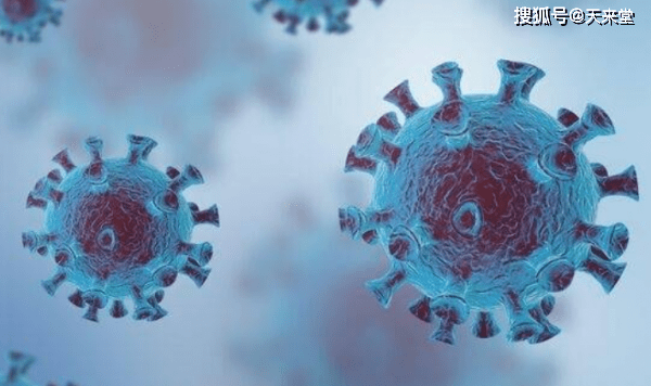 最新银价分析与自然美景的邂逅,寻找内心的平和与宁静之旅