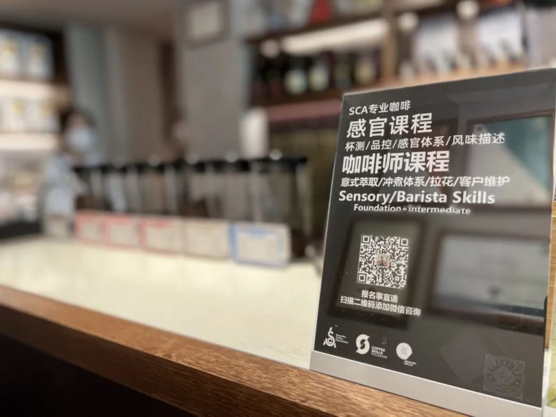 医药最新动态,医药最新动态,小巷深处的神秘药香