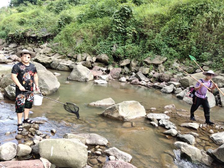 科技深海探索,最新打鱼平台智能捕捞未来体验