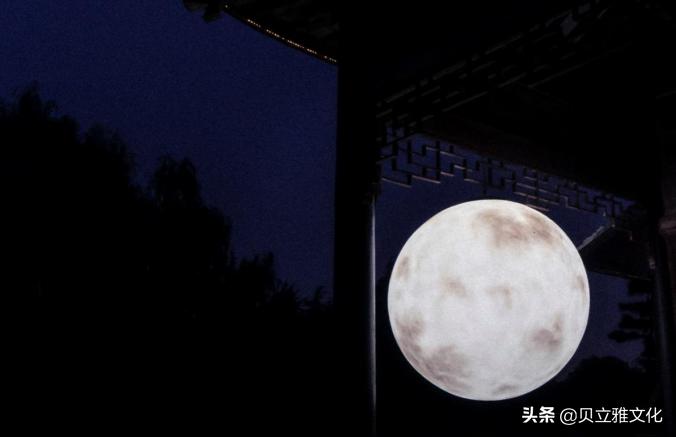 探索最新签到形式的科技魅力,掀起签到革命新篇章