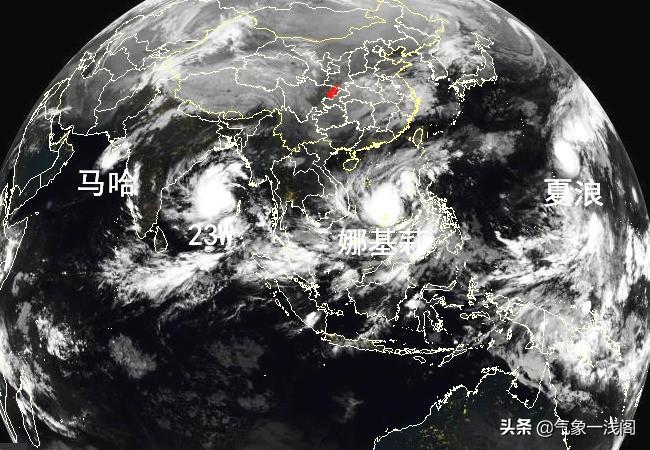 最新健身视频,与自然共舞,探索内心平静的健身之旅