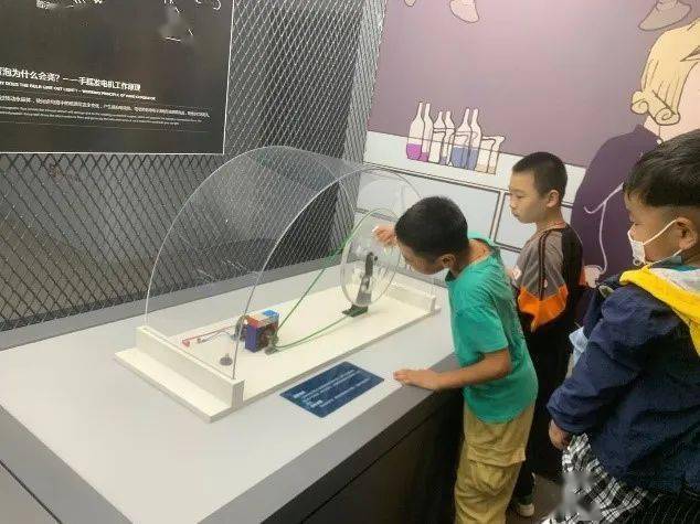 桔梗最新行情与科技融合的高科技产品介绍