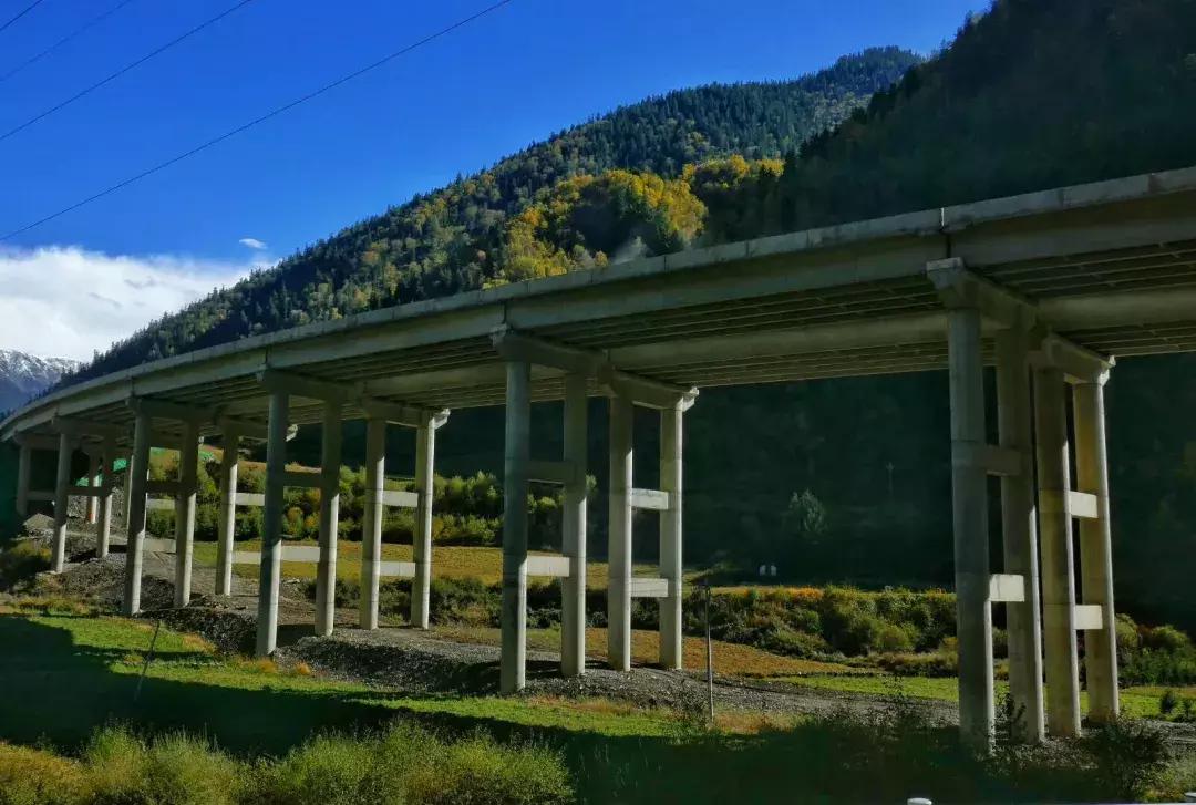 最新藏族电影,展现力量与自信,成就感的源泉