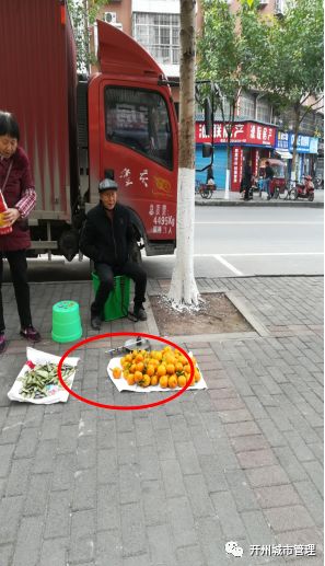 城管改革最新动态2019,城市管理与温馨故事的交融发展