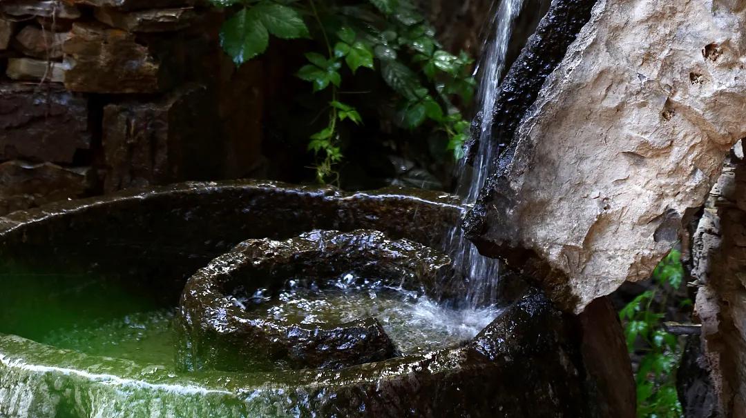 美国疫情最新预测与大自然呼唤的心灵之旅时刻