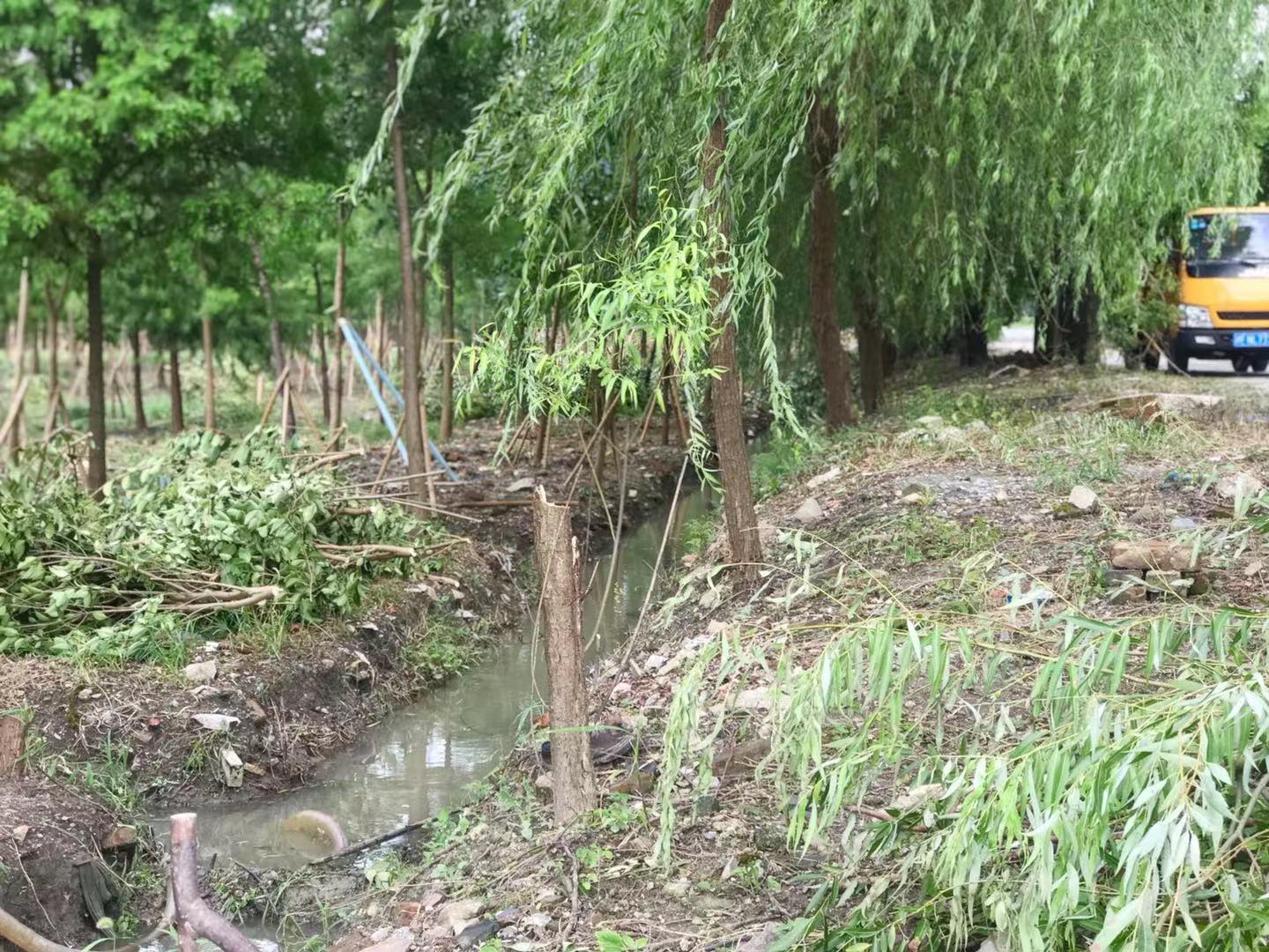 广东七号台风最新消息及应对台风步骤指南(全适用级别)