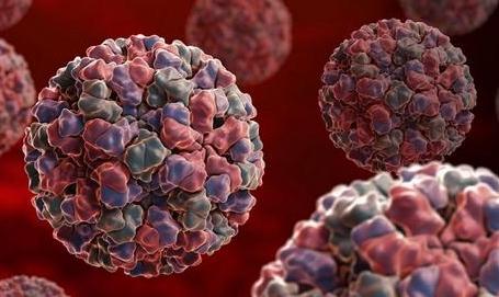 蒄状病毒最新动态,健康警示不容忽视