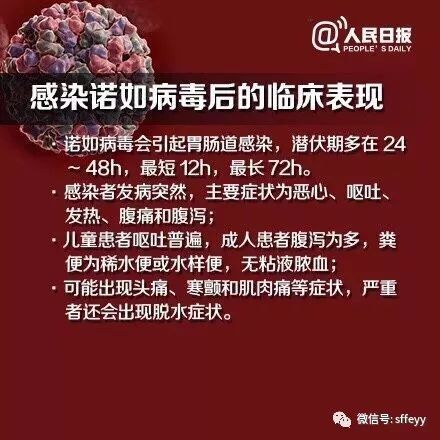 蒄状病毒最新动态,健康警示不容忽视
