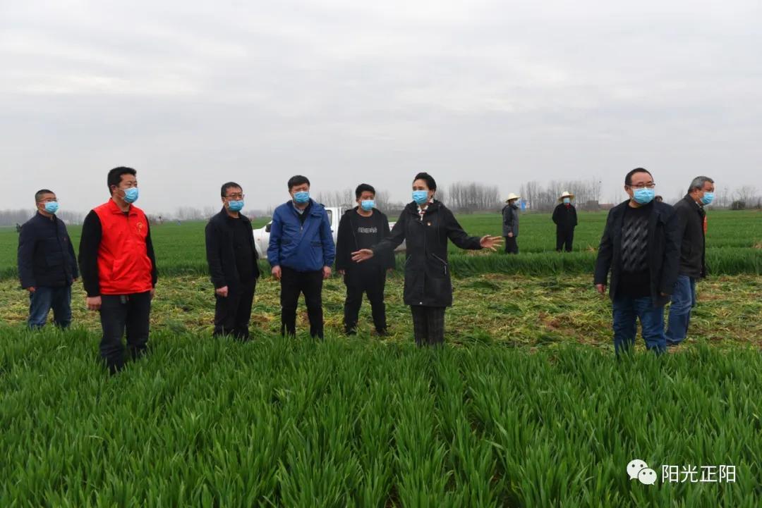 正阳县最新规划拆迁区域指南,了解拆迁区域,掌握最新动态