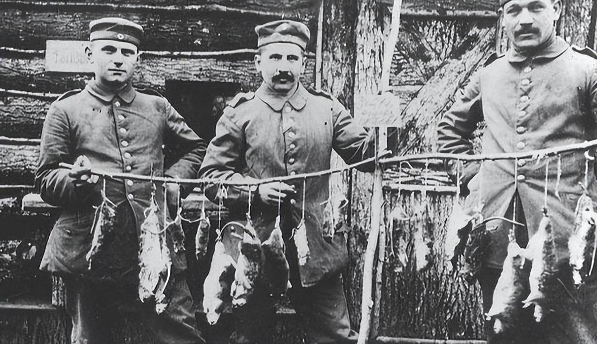 中国人在美国的最新生活状况,一段温馨有趣的日常故事