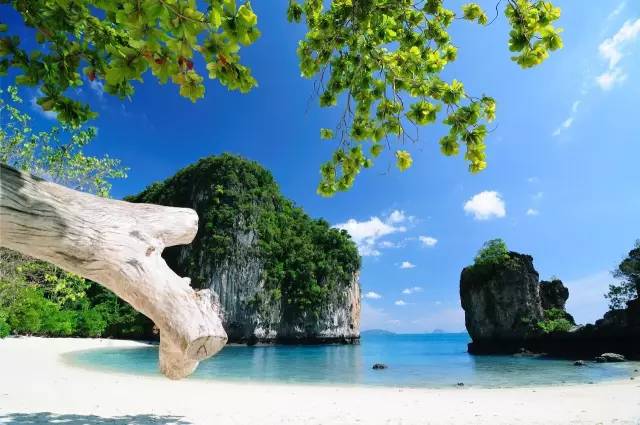 华人在美国最新动态,探索自然美景,重拾心灵宁静之旅