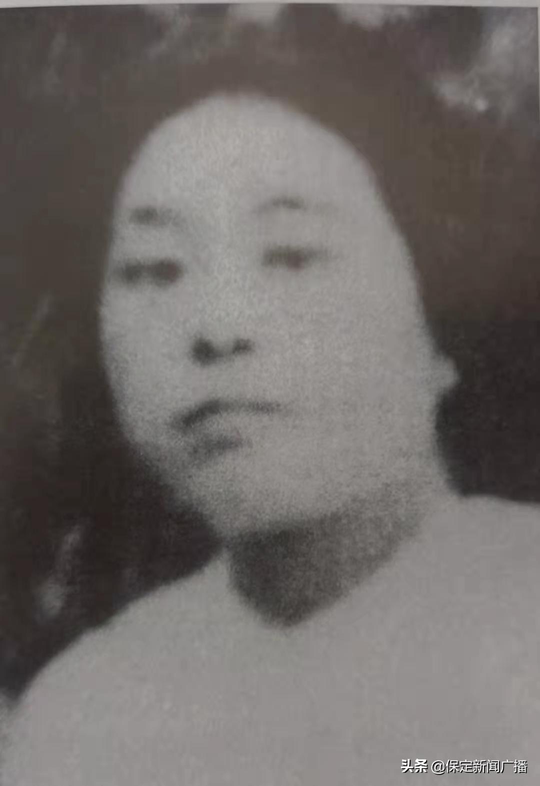 网络教育的最新发展,掀起教育革新的浪潮📚🌟