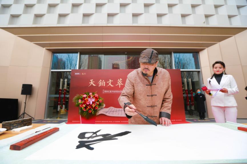 网络教育的最新发展,掀起教育革新的浪潮📚🌟