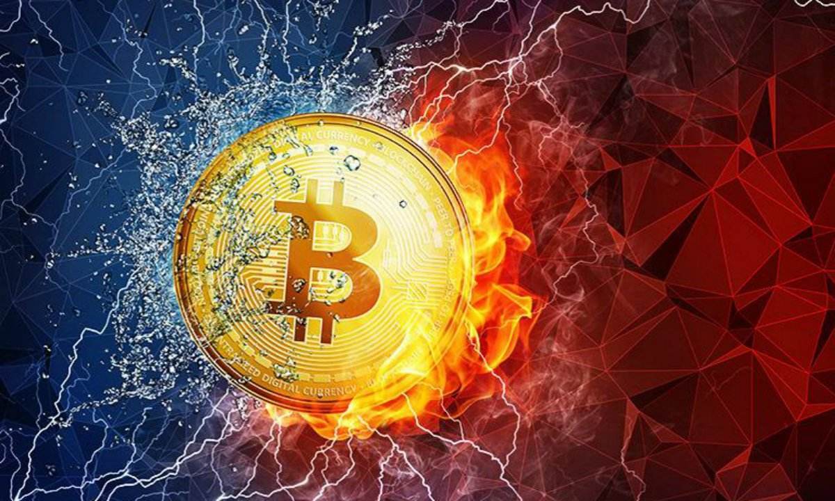 揭秘金融世界未来趋势,巫金透视最新章节更新速递