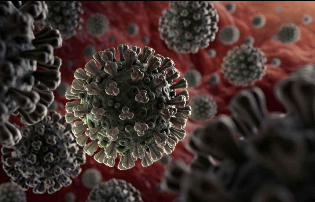 美国新冠病毒实时更新报道,全球瞩目下的最新动态