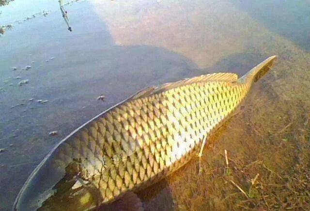 驻马店泌阳最新动态,自然之旅,探寻内心宁静的秘境