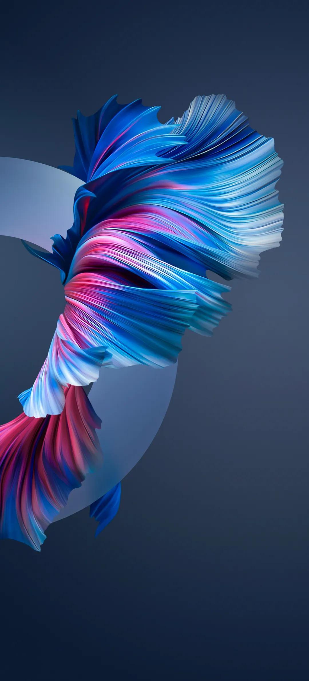 华为Mate40 Pro,科技与自信的卓越融合