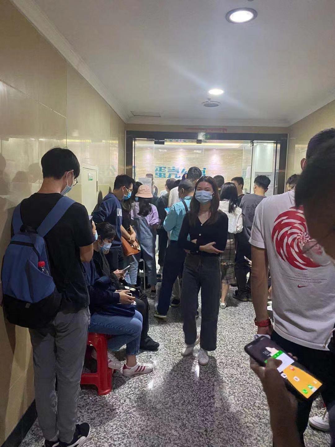 租金贷蛋壳最新动态,申请、管理与还款的详细步骤指南