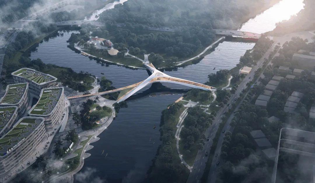 最新舞蹈简单完整版,跃动人生,自信闪耀舞台风采