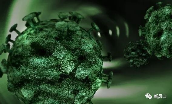 法国病毒疫情最新动态与大自然中的疗愈之旅