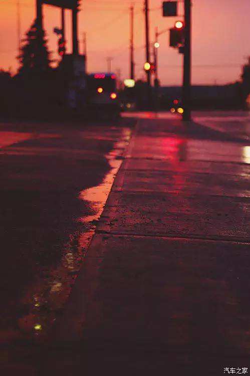 来女士深夜自然探索,凌晨三点的平和与喜悦之旅