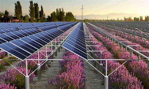 中国肺炎疫苗最新进展,科技之光引领健康之路