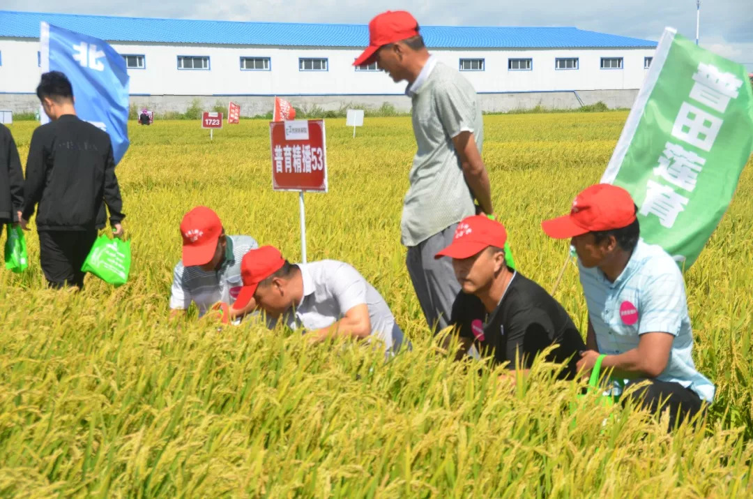 中国肺炎疫苗最新进展,科技之光引领健康之路