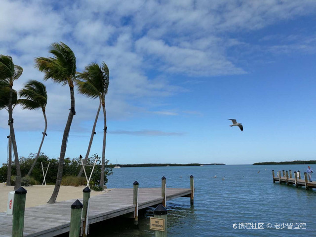 美国大选最新动态聚焦佛罗里达,自然美景与心灵之旅的交织