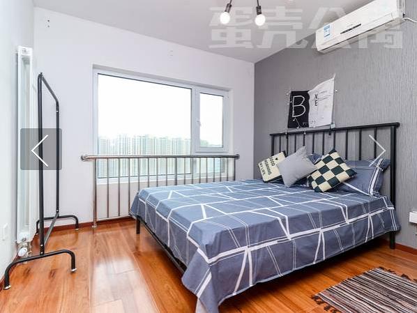 蛋壳公寓最新动态,温馨小窝里的快乐时光今日更新消息