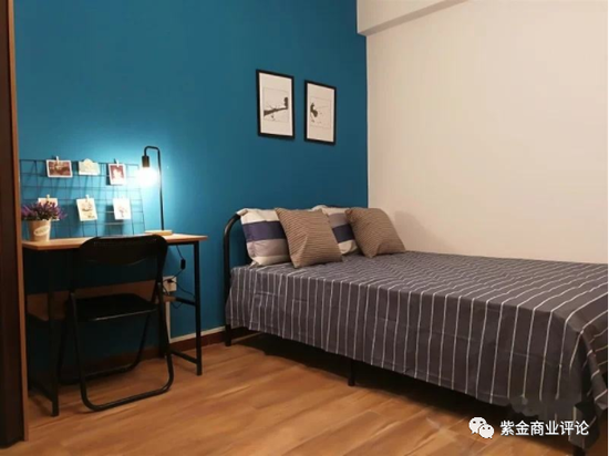 蛋壳公寓最新动态,温馨小窝里的快乐时光今日更新消息