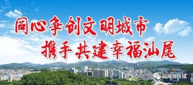 汕尾创文最新动态,揭晓最新的进展与消息